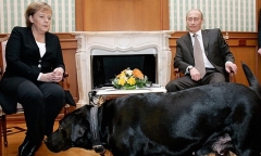 Điện Kremlin: Tổng thống Nga Putin bị tạp chí Đức xúc phạm nặng nề