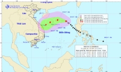 Bão số 13 giật cấp 10, cách Hoàng Sa khoảng 500km