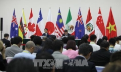 APEC 2017: Các nước tham gia CPTPP có thể tạm hoãn hạn chế một số nghĩa vụ