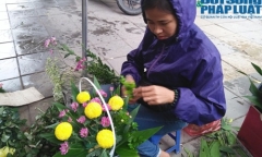Chạnh lòng những phụ nữ bán hoa