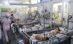 TP. HCM: Số trẻ nhập viện vì tay chân miệng tăng gấp 5 lần