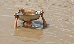 Hành động ngây thơ, trong sáng của trẻ nhỏ và những bài học sâu sắc