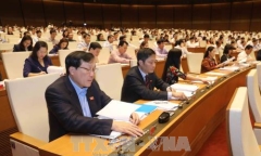 Quốc hội thông qua dự án Luật Lâm nghiệp