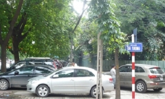 Sau Tết nguyên đán, Hà Nội áp dụng đỗ xe theo ngày chẵn lẻ trên nhiều tuyến phố