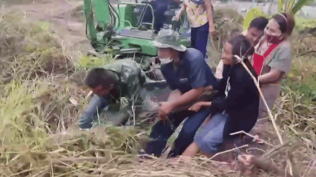 Video: Gần chục người dân hợp sức bắt trăn khổng lồ nặng gần 100kg 