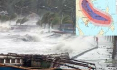 Bài thơ về siêu bão Haiyan: Cảm động rơi nước mắt