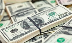 Tỷ giá USD hôm nay 4/8: Đồng bạc xanh ngừng lao dốc