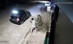 Vụ đôi nam nữ lái ô tô trộm cả cây đào lúc nửa đêm: Lời trần tình bất ngờ của