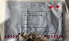 Hàng loạt sân bay và nhà ga ở London bị gửi bom thư