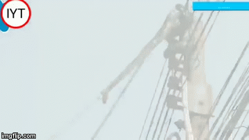 Video: Kinh hãi cảnh tay không bắt trăn