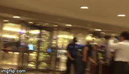 Video: HLV Park Hang-seo chơi đùa cùng chó nghiệp vụ