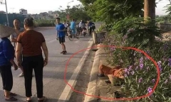 Tin tức tai nạn giao thông mới nhất hôm nay 7/7/2019: Tài xế taxi đâm tử vong nữ lao công rồi bỏ trốn
