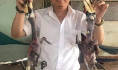 Giám đốc doanh nghiệp khoe ảnh 