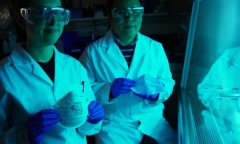 Tin tức công nghệ mới nóng nhất hôm nay 10/2: Apple sẽ sớm ra mắt iPhone màn hình gập