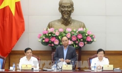 Thủ tướng Nguyễn Xuân Phúc: Kiểm điểm, làm rõ trách nhiệm để xảy ra tình trạng phá rừng
