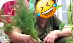 Hai bà cháu trồng cây cà rốt suốt 6 tháng trời, thành quả khiến cư dân mạng chỉ biết ôm bụng cười ngặt nghẽo