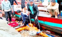 Người dân miền Trung trúng “lộc biển” đầu Xuân 