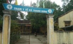 Bị đàn ong rừng tấn công, 14 người nhập viện