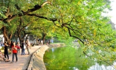 Dự báo thời tiết 8/6: Bắc Bộ tiếp tục mưa rào, trời mát mẻ
