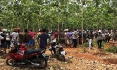 Khởi tố đối tượng giở trò đồi bại với người phụ nữ tâm thần