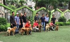 Tin tức giải trí mới nhất ngày 27/8/2019: Ekip