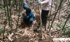 Kỳ thú chuyện săn lùng loài chuột khổng lồ trong rừng tây Yên Tử