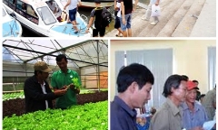 Chỉ đạo, điều hành của Chính phủ, Thủ tướng Chính phủ nổi bật tuần từ 20-24/11