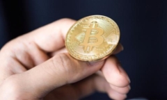 Giá bitcoin hôm nay 25/11: Giá bitcoin tăng vọt vượt 8.000 USD