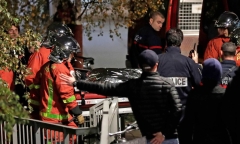 Hổ dữ 2 tạ xổng chuồng trên phố Paris, người dân hoảng loạn