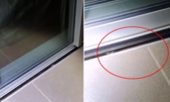 Tin tức đời sống ngày 5/1: Mèo cưng cứu sống cả gia đình nhờ phát hiện thứ này