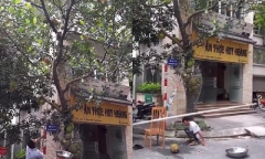 Clip: Người đàn ông dùng chậu hứng mít nhận cái kết choáng váng, đau đớn