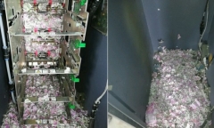 Cây ATM bị chuột 