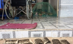 “Biển ruồi” hoành hành sau cháy lớn tại Công ty Kwong Lung – Meko