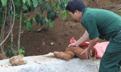 Xe tải đổ đất làm đường đổ ra hàng chục quả đạn pháo