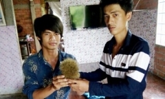 Mổ heo 240 kg, phát hiện vật nghi 