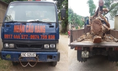 Thuê xe cẩu trộm cây mít trị giá 40 triệu đồng