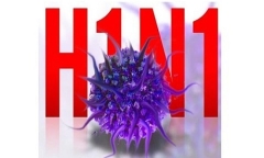 Vĩnh Long: 6 trường hợp dương tính với cúm A/H1N1