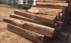 Nghi vấn nam thanh niên chở gỗ trái phép bị... gỗ đè chết