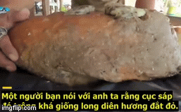 Video: Xôn xao vật thể bí ẩn trên bãi biển, trị giá 11,6 tỷ đồng