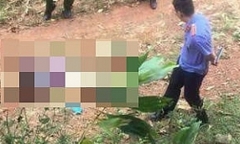 Phát hiện thi thể người phụ nữ trong vườn cam, bên cạnh là nắm lá ngón