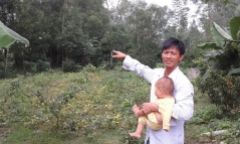 Hoảng hốt phát hiện 2 con rắn lục đuôi đỏ bò vào nhà