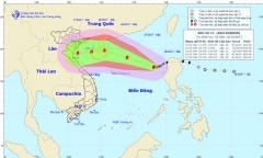 Bão số 11 di chuyển bất thường, sức gió có thể giật cấp 15