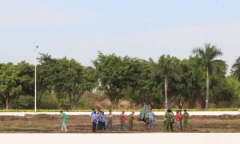 Bình Dương: Đốt cỏ chuẩn bị bắn pháo hoa Tết, phát hiện nguyên bộ xương người
