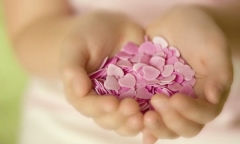  Trên đời có 3 thứ tuyệt đối không được nợ dù đó là anh em trong nhà