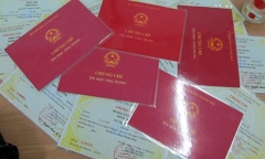 Đắk Lắk: Phát hiện 50 giáo viên trung tâm đào tạo lái xe dùng bằng giả