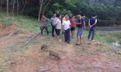 Cưa đạn súng B40, 2 anh em thương vong