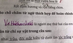 Giáo viên “đứng hình” vì bài tập điền từ vào chỗ trống của học sinh tiểu học