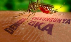 Bến Tre: Phát hiện một thai phụ nhiễm vi rút Zika đầu tiên