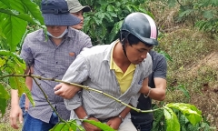 Tin tức pháp luật mới nhất ngày 29/1/2018
