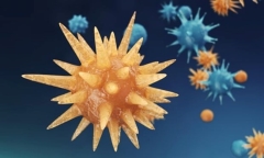 Bệnh nhân thứ 2 trên thế giới chữa khỏi hoàn toàn HIV nhờ ghép tủy